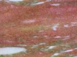 Norwegian Rose pink Countertops Colors