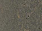 Oberdorla grey Limestone Germany