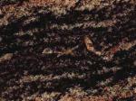Rainbow pink Granite United States