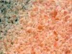 Rosa Cordoba pink Marble Argentina