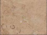 Rosa Zarci pink Limestone Spain