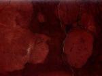 Rosso Asiago red Limestone Italy