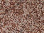 Rosso Pantheon Granite Countertops Colors