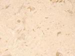 Sandy beige Turkey Countertops Colors