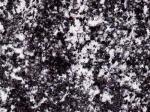 Serizzo Scuro Valmasino grey Paragneiss Italy