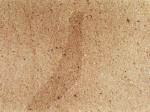 Trebgast Sandstone Countertops Colors