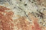 Tropical Guarani green Migmatite Brazil