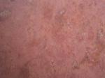 Uxmal Naranja red Limestone Mexico