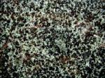 Verde Fantastico green Granite China