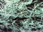 Verde Patricia Verde Countertops Colors