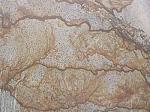 Verniz Tropical Stone Countertops Color Search