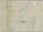 Zar Waryaz Stone Countertops Color Search