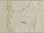 Zar Waryaz tan Countertops Colors