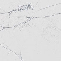 calacatta montage quartz