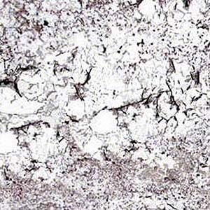 /clientdata/countertop material/Granite/mystic spring granite counter top Colors