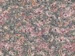 Desert Bloom pink Granite India