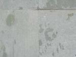 Lime Green green Limestone India